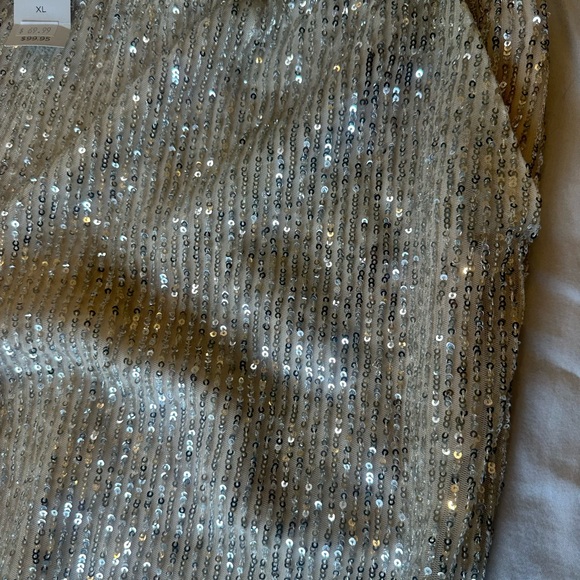 LOFT Sequin Jogger Pants - NWT - Size XL - Picture 7 of 13